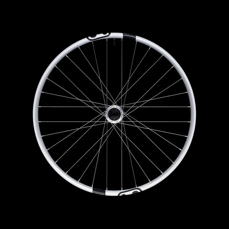 Crankbrothers Synthesis Alloy 2.0 DH 1/1 Rear 157x12 Wheel - 29 - Silver