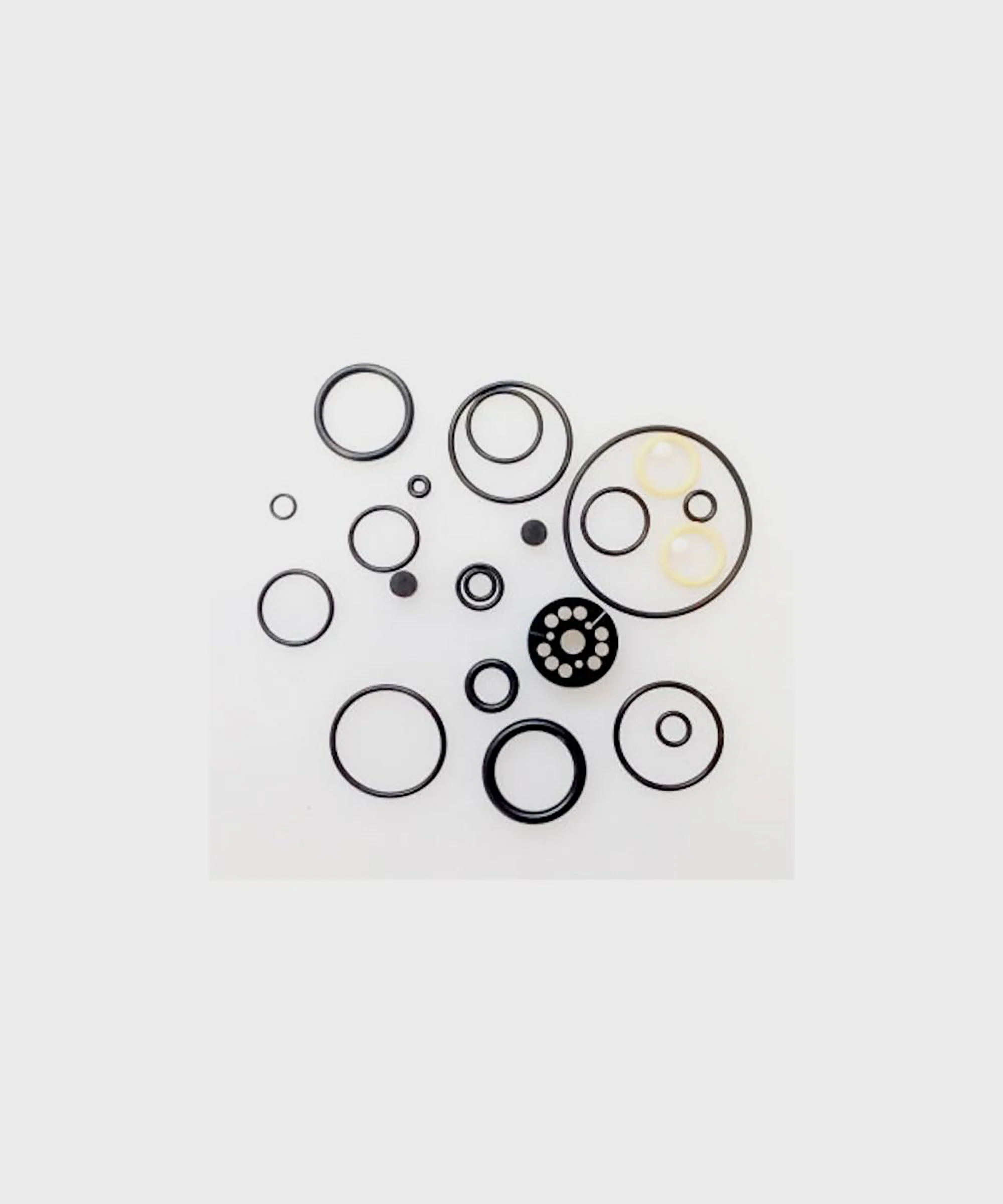 FOX Shock Float DPX2 Rebuild Seal Kit