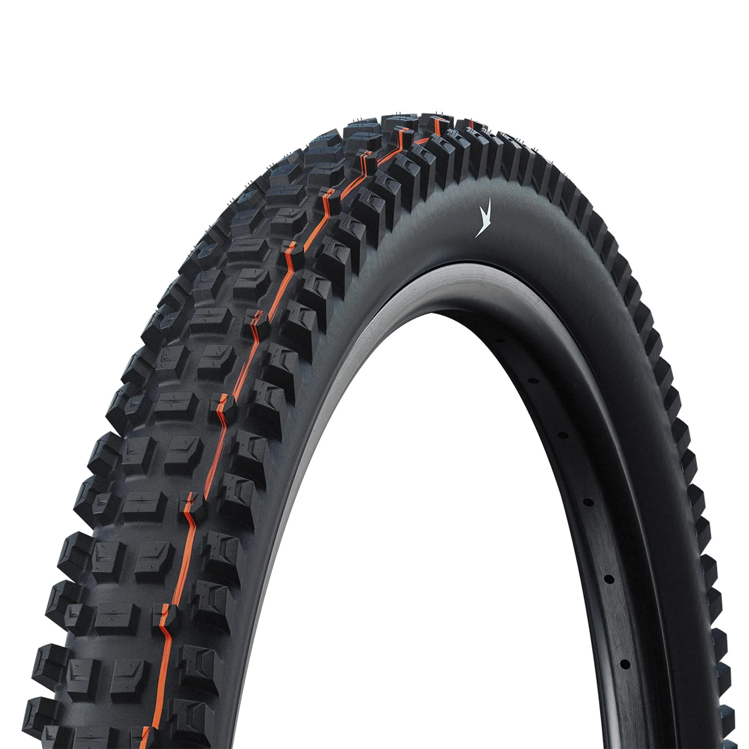 Schwalbe Albert Gravity Pro Radial Soft TLR Folding - Black Folding - Image 4