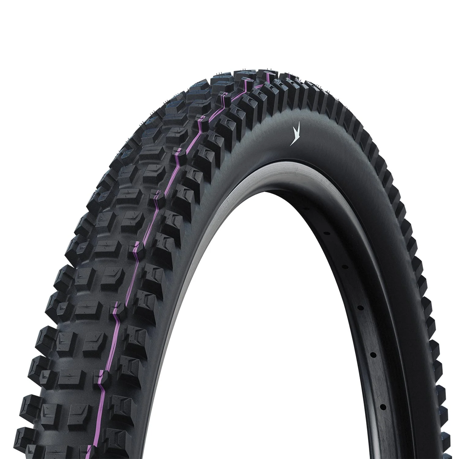 Schwalbe Albert Gravity Pro Radial Ultra Soft TLR Folding - 29x2.60 - Black Folding