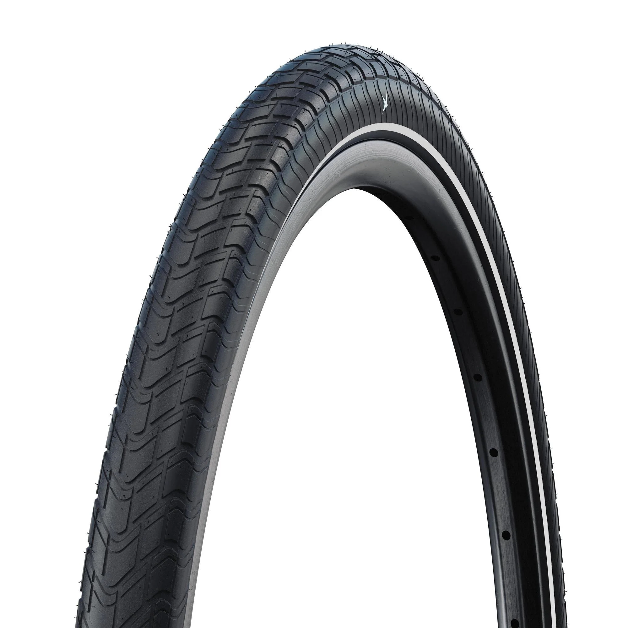 Schwalbe Motion Big Apple 20 x 2.00 RaceGuard