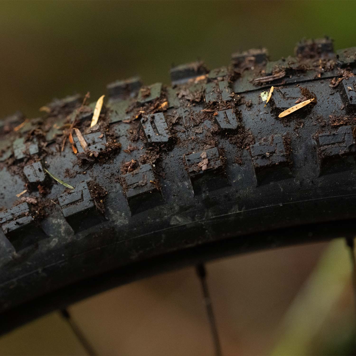 Schwalbe Romy Trail Pro Soft Folding TLR - 29x2.40 - Black Folding - Image 3