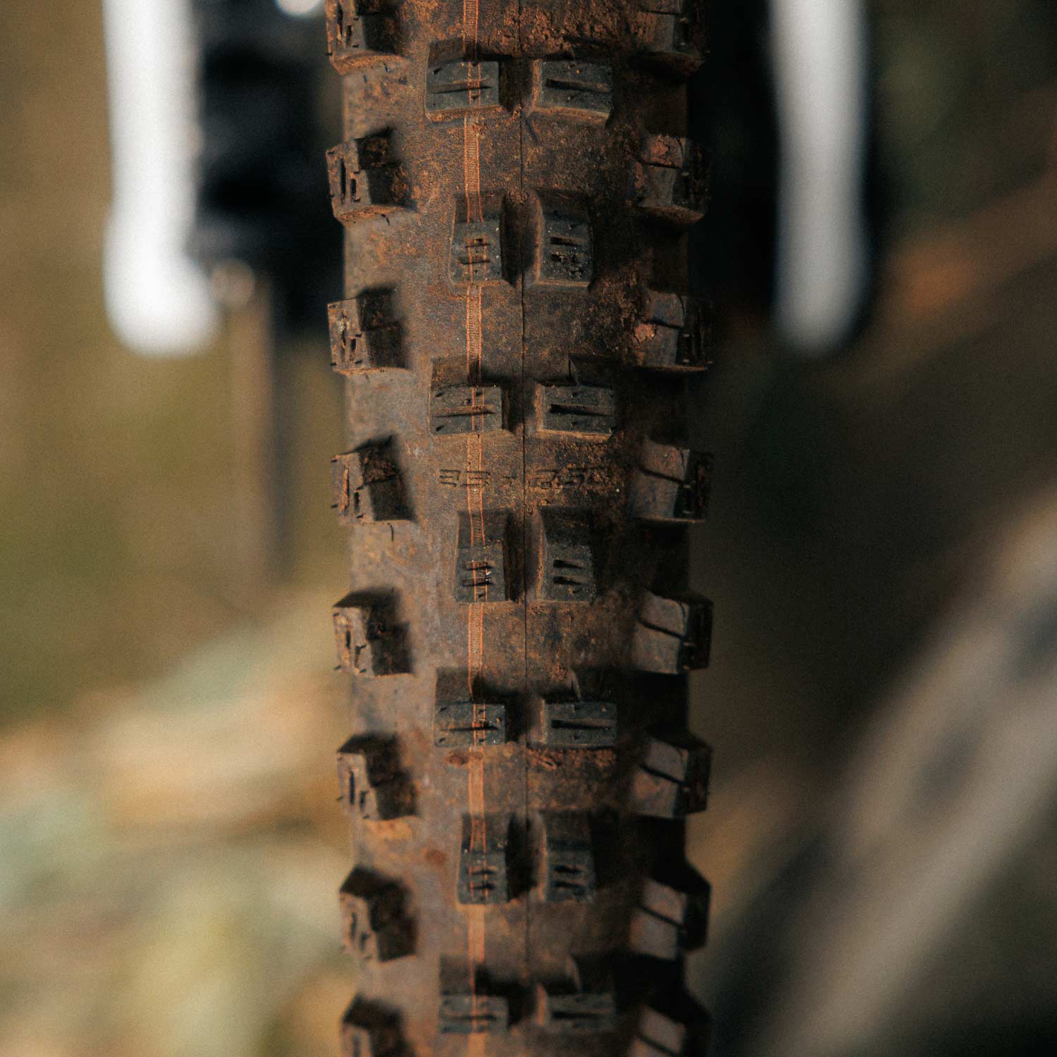 Schwalbe Tacky Chan Gravity Pro Soft Folding TLR - 29x2.40 - Black Folding - Image 3
