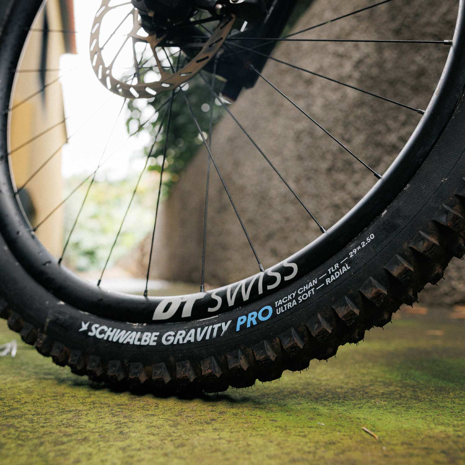 Schwalbe Tacky Chan Gravity Soft Folding TLR - 27.5x2.40 - Black Folding - Image 4